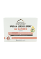 Balsam_Jerozolimski_4.png