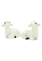 Owieczka 5.png